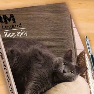 Meet your Posher, Sierra